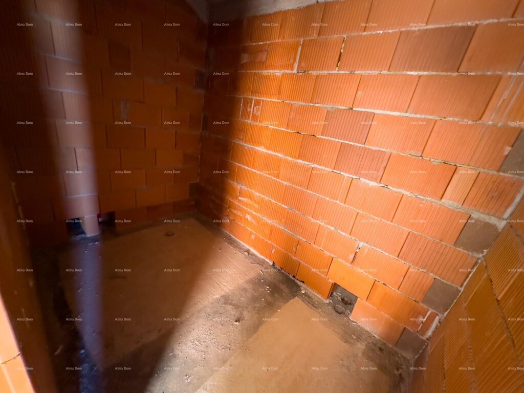 Image 21