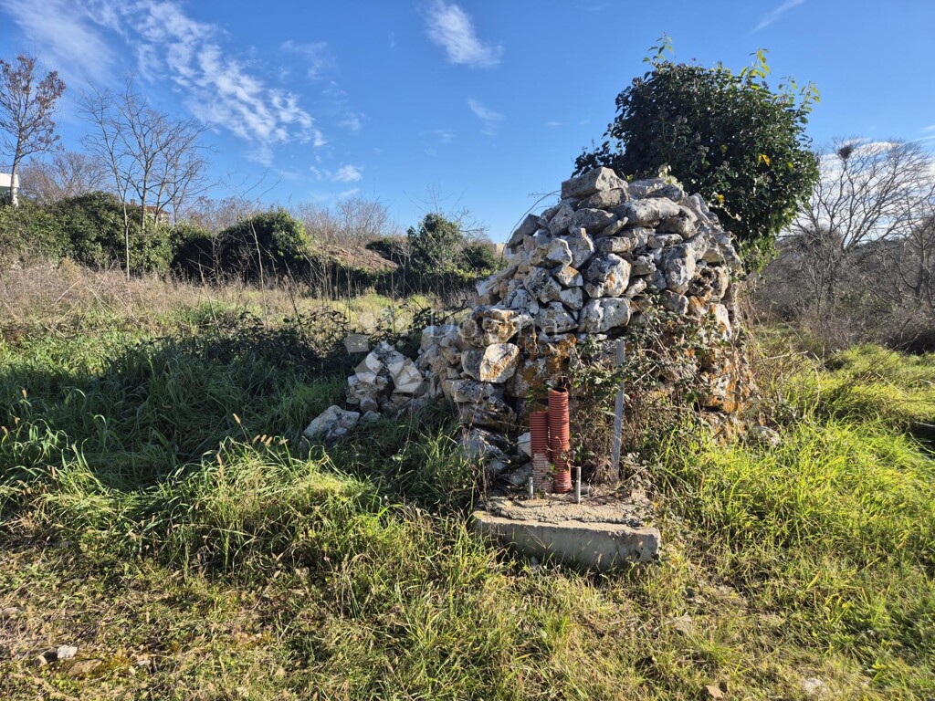 Image 12