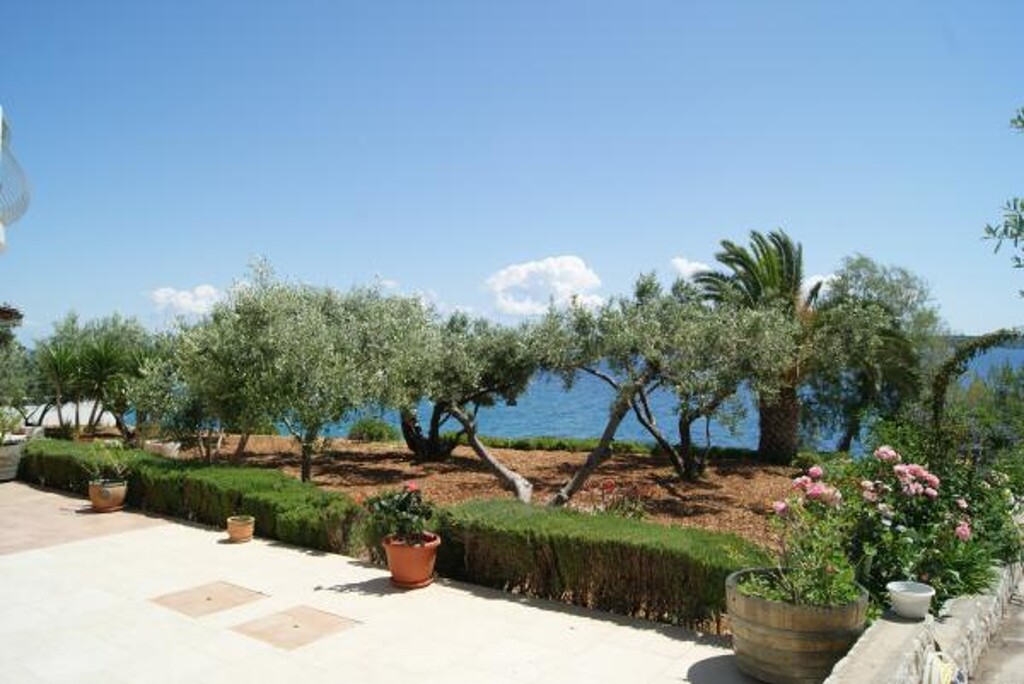 Image 3811829 - 8