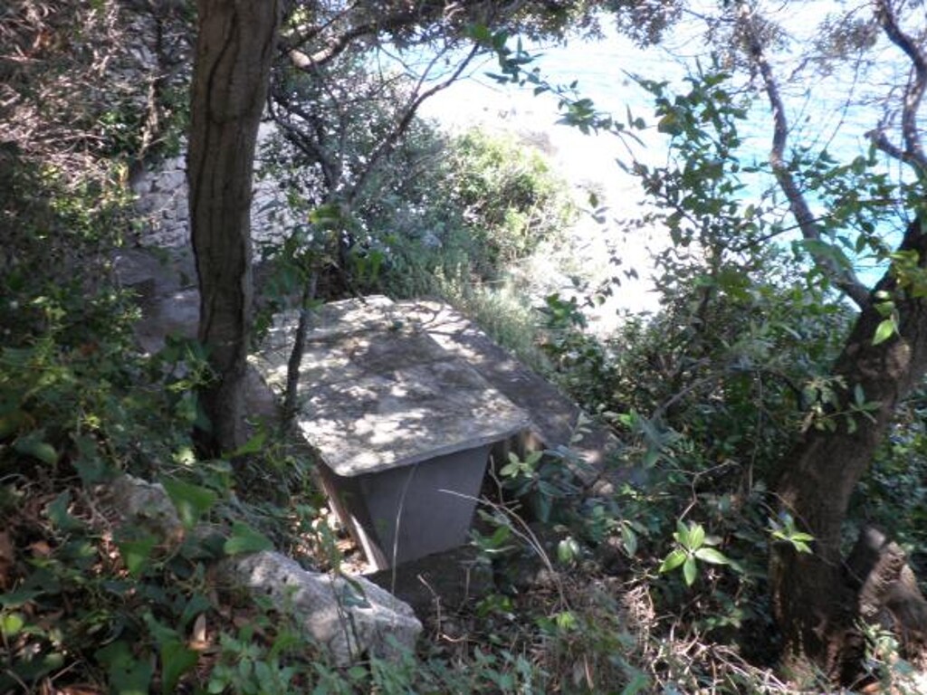 Image 3811681 - 12