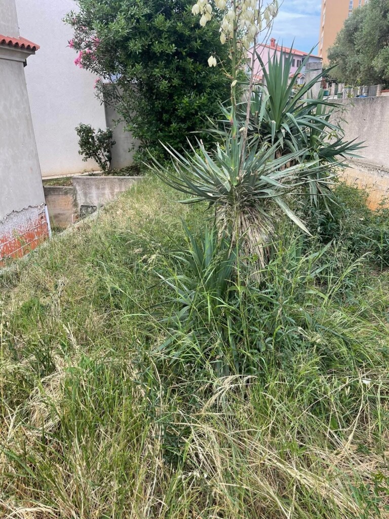 Image 15
