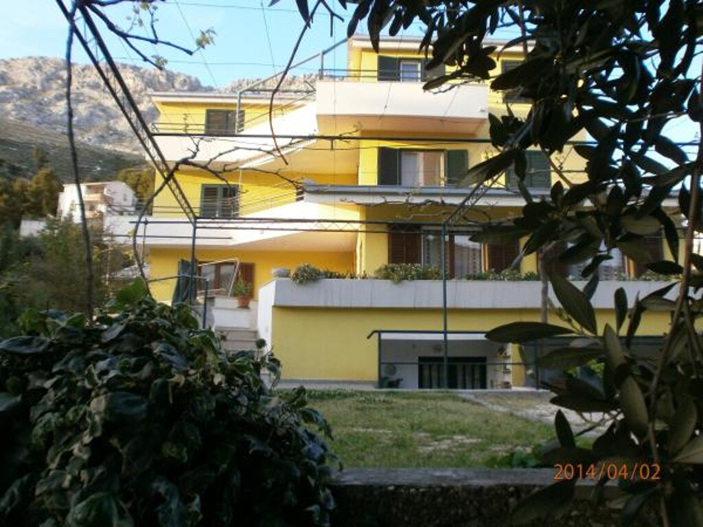 Image 3838824 - 1