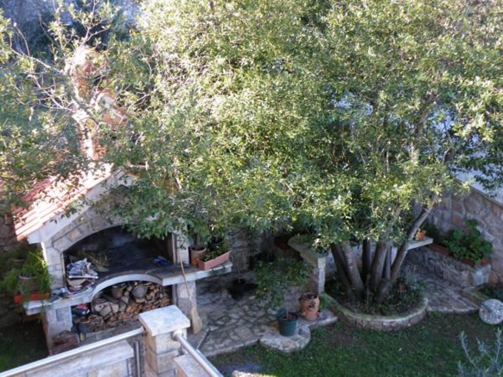 Image 3812918 - 3