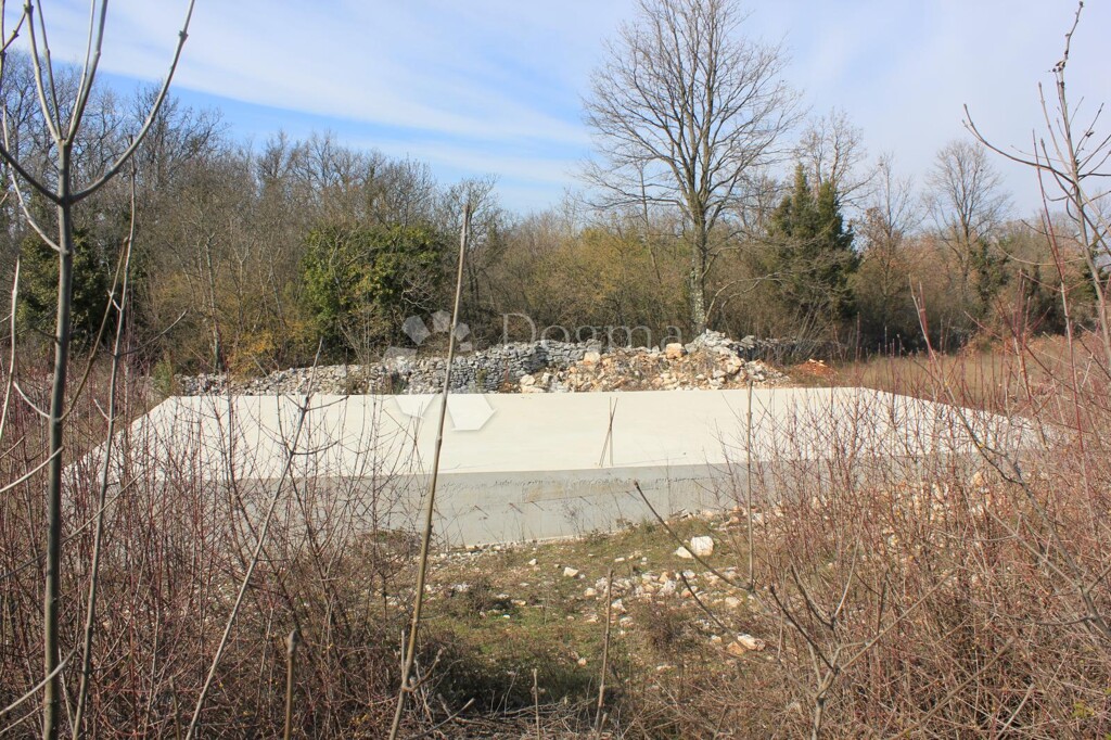 Image 24