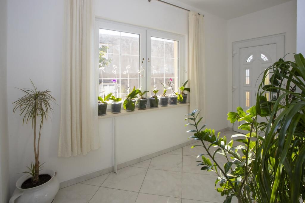 Image 3838920 - 8