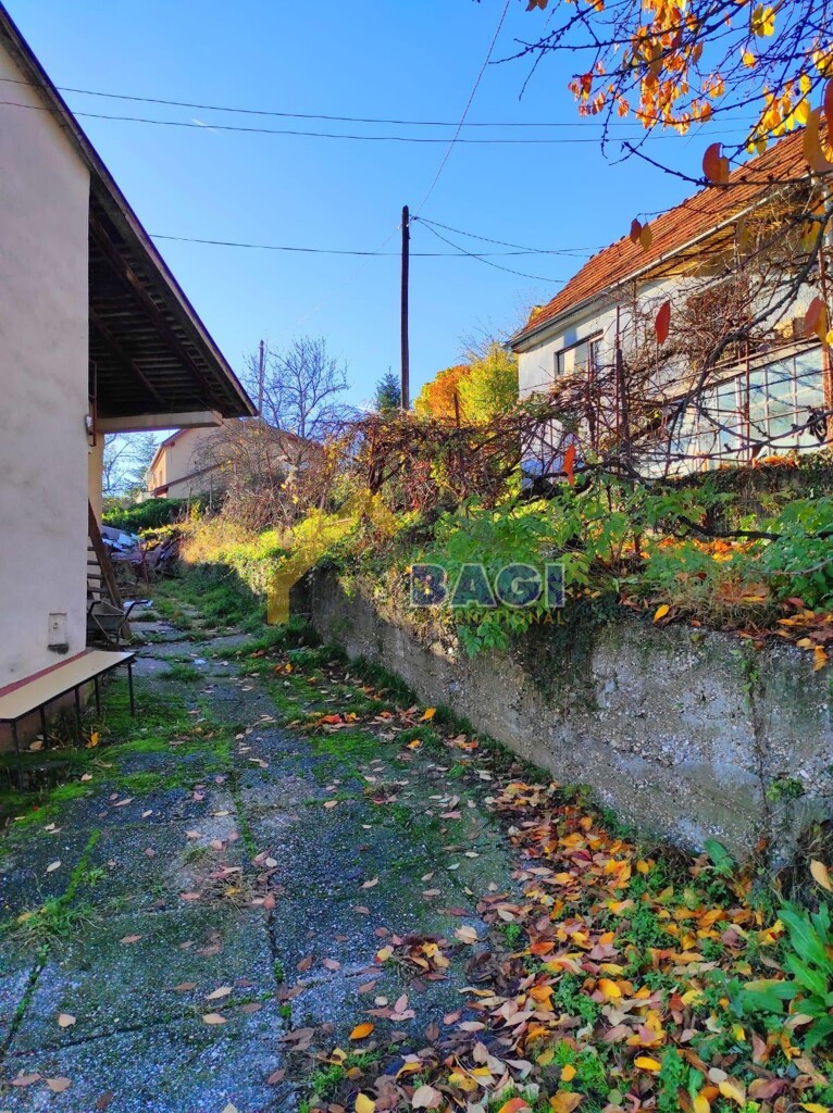 Image 13