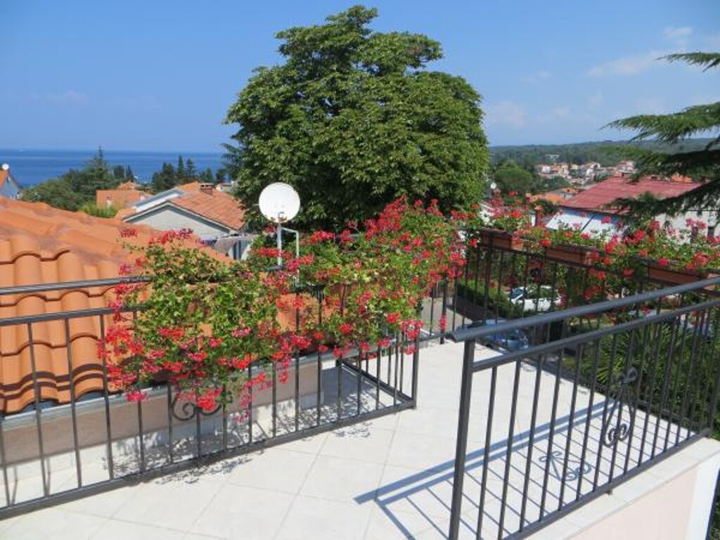 Image 3812626 - 7