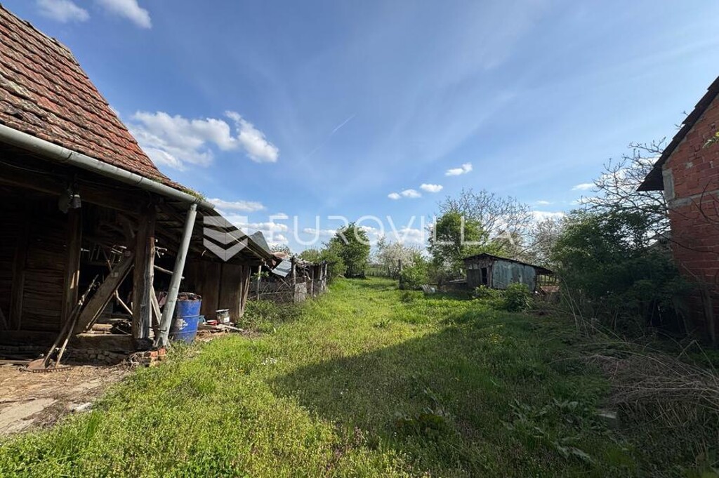 Image 12