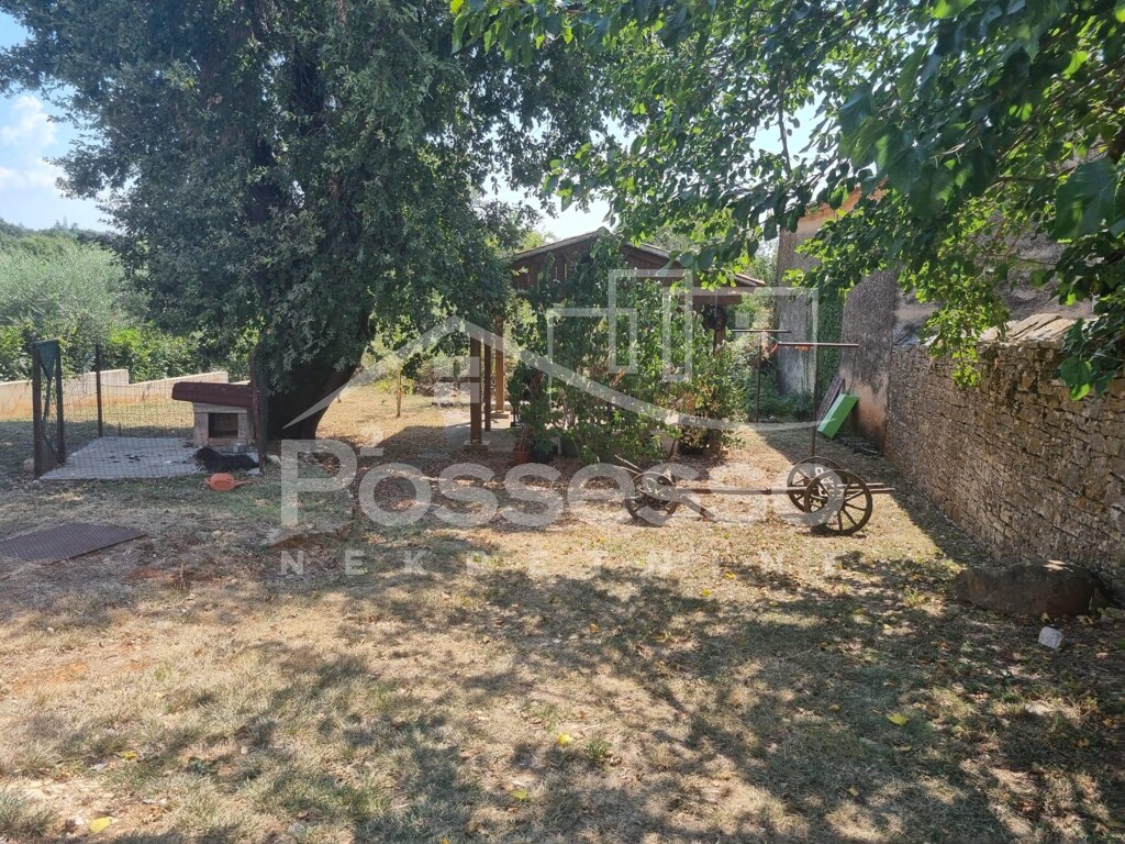 Image 9