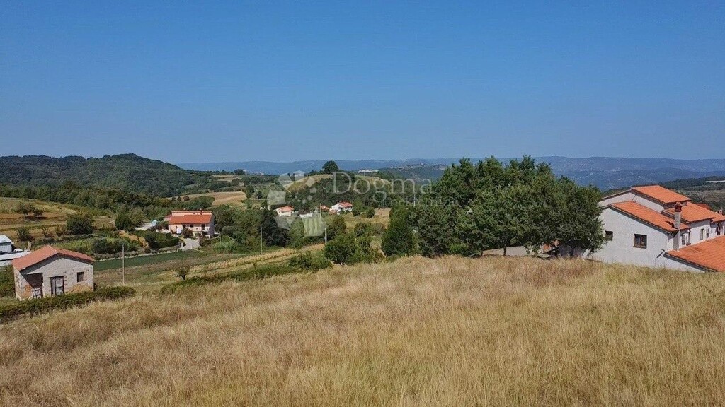 Image 14