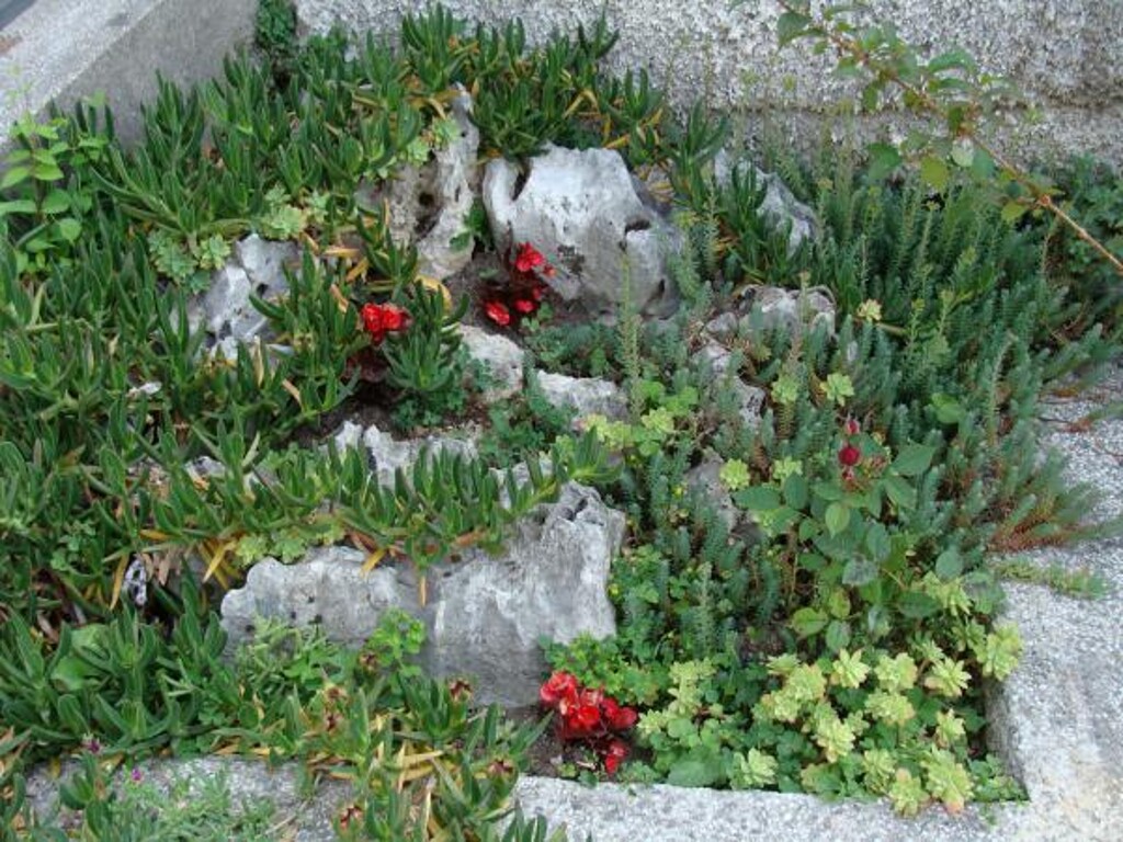 Image 3812158 - 7