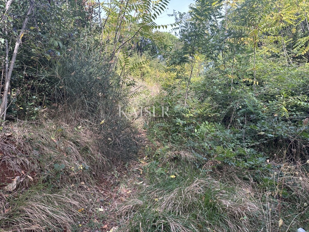 Image 16