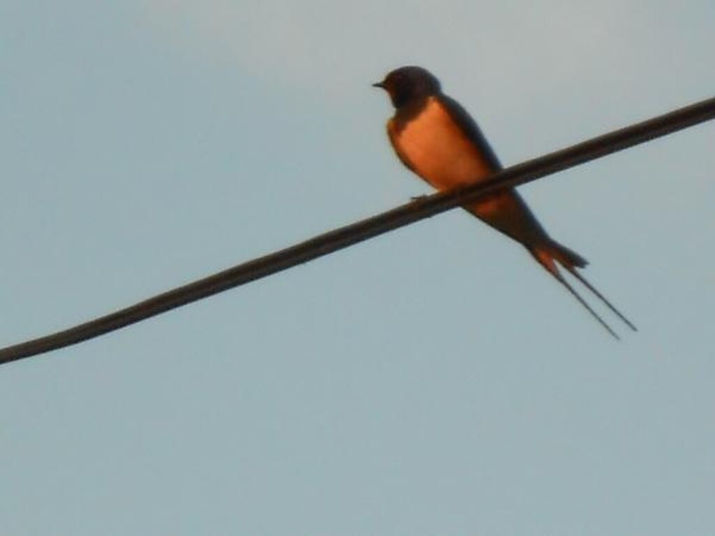 Image 3813682 - 35