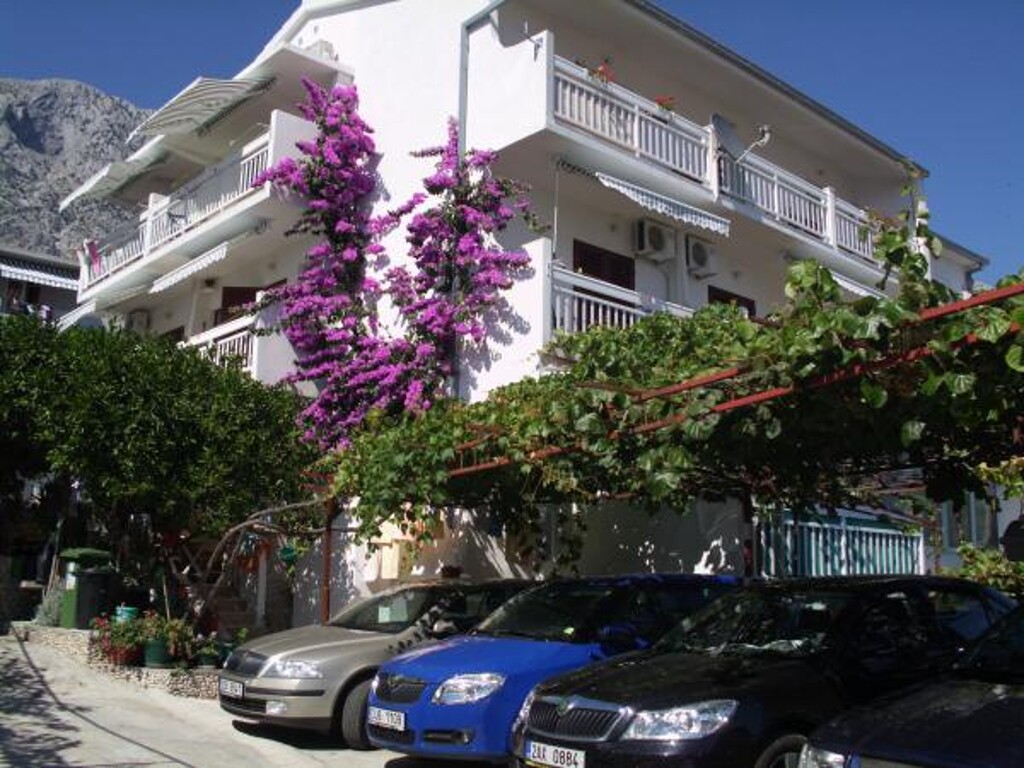 Image 3813008 - 1