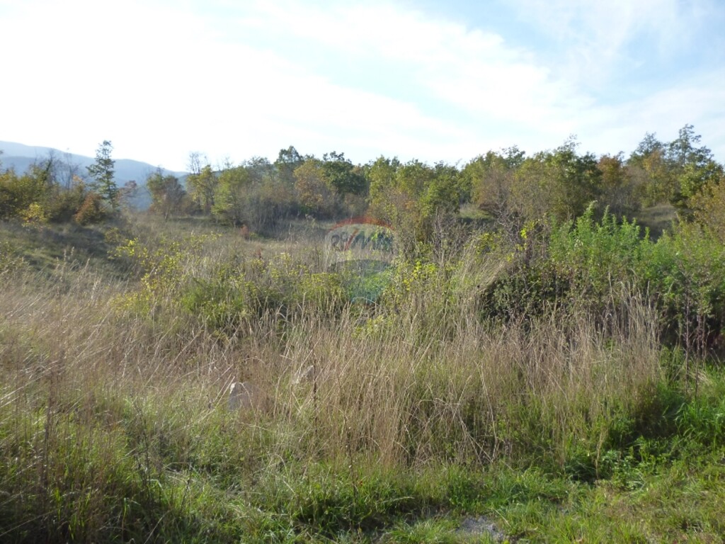 Image 5411141 - 1