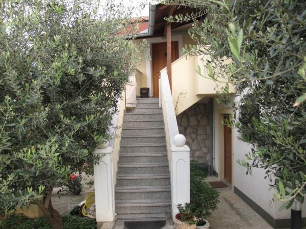 Image 3838735 - 7