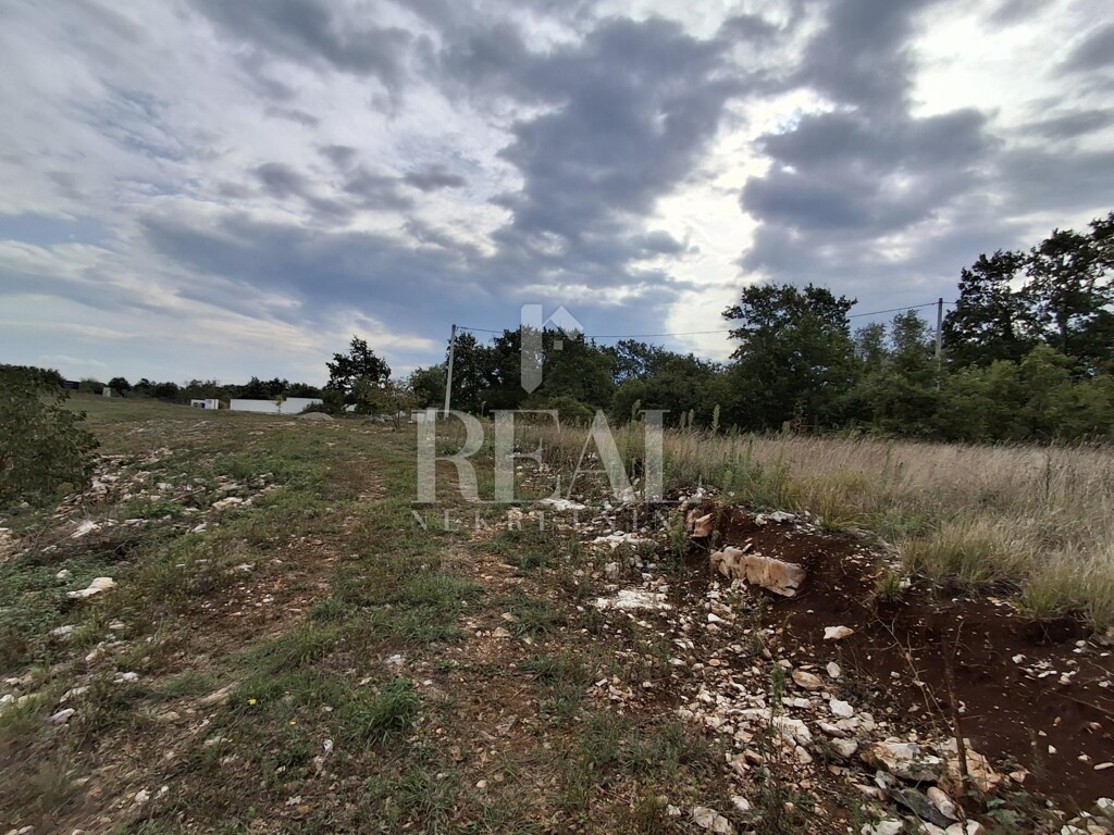 Image 14