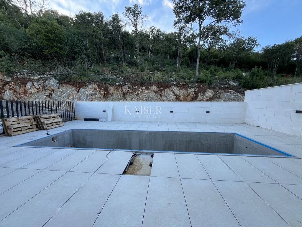 Image 13