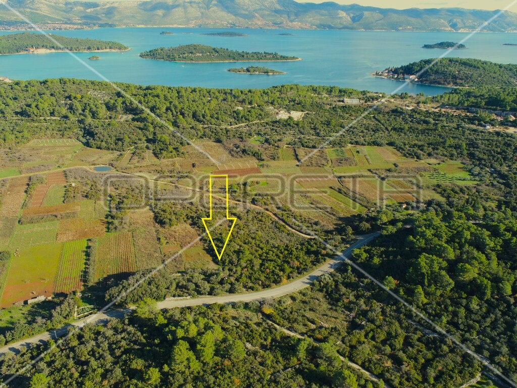 Image 6158224 - 15