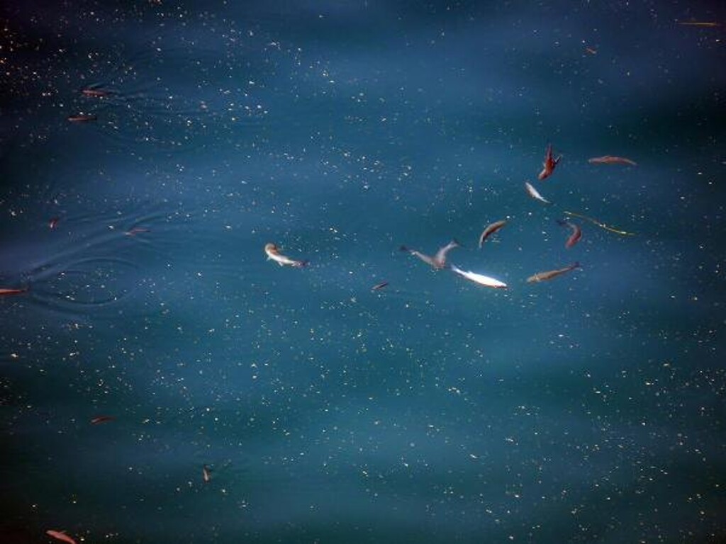 Image 3813546 - 16