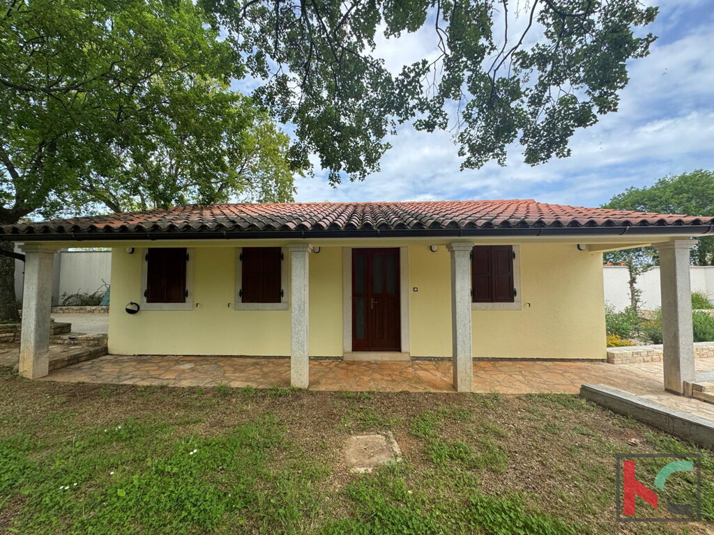 Image 13