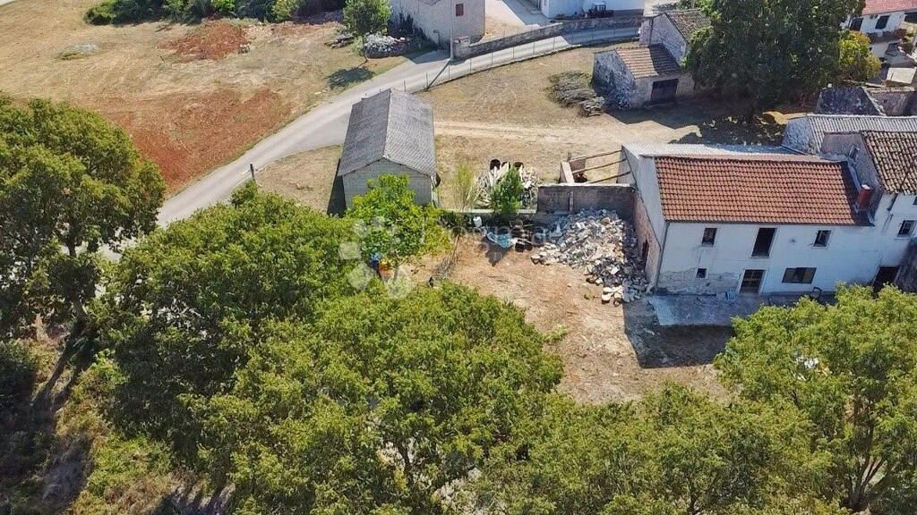 Image 14