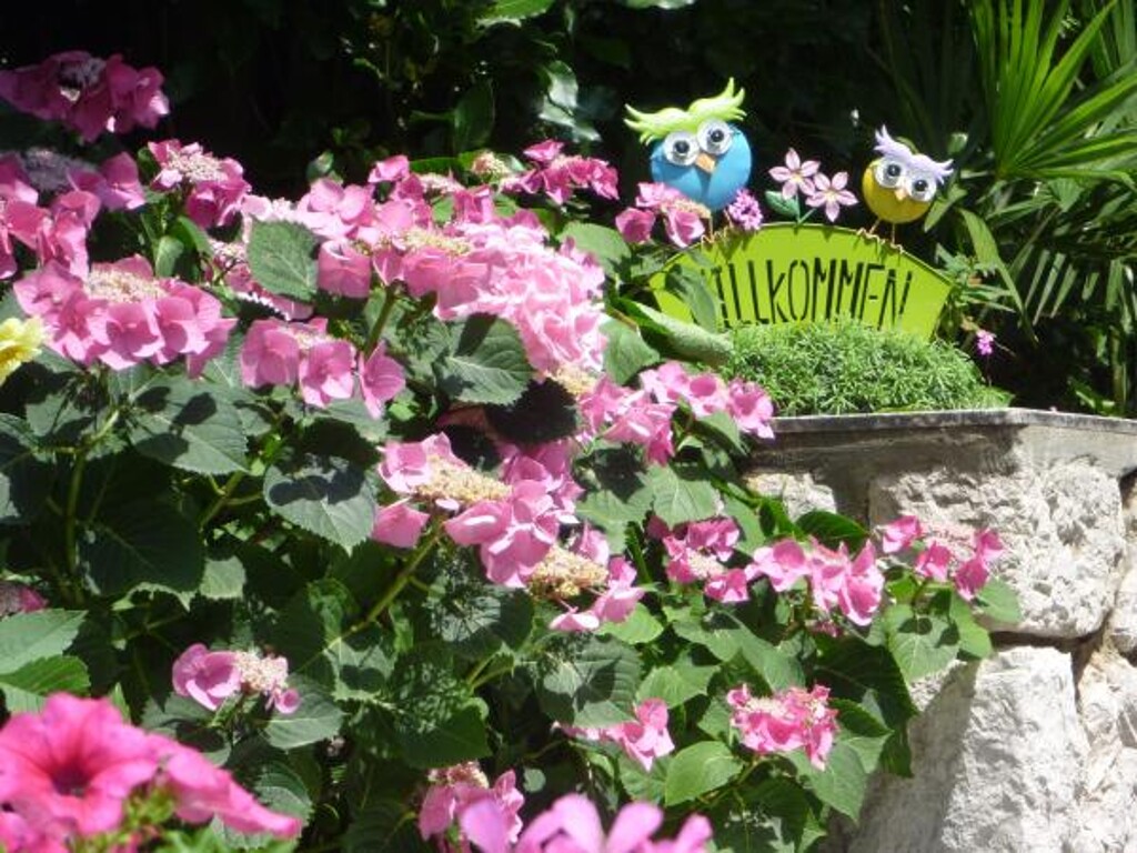 Image 3811218 - 4