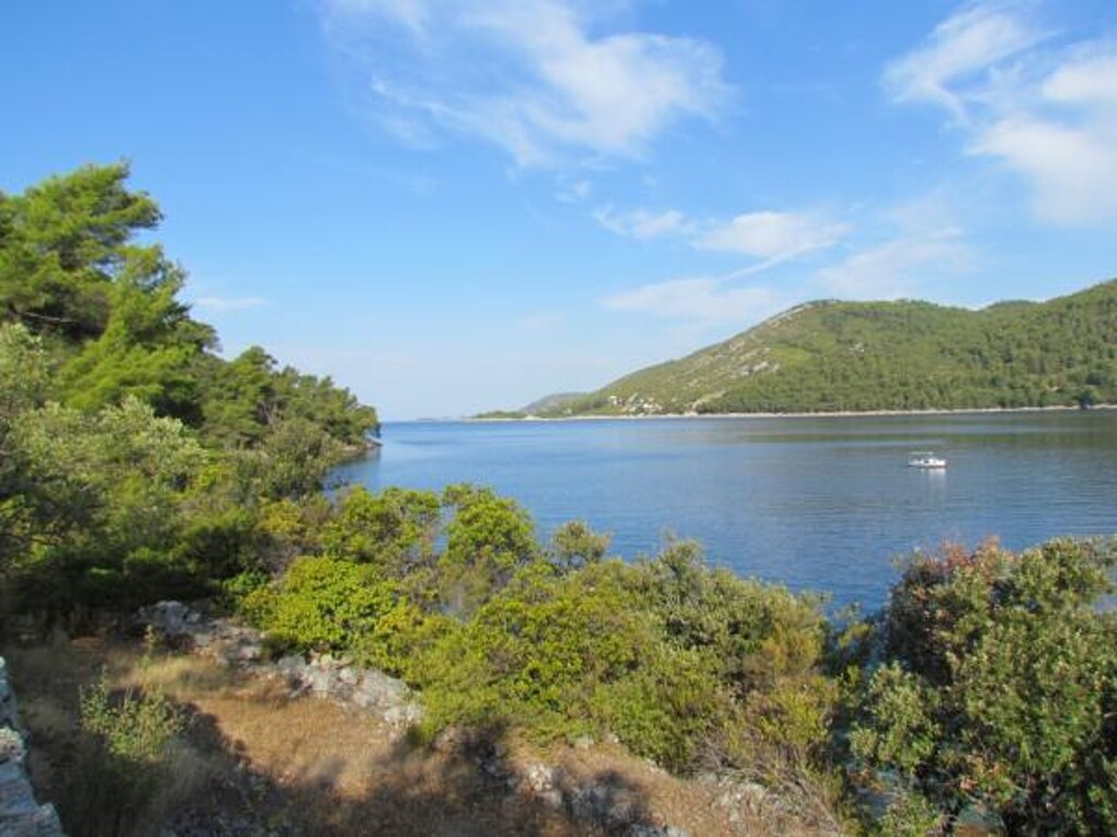 Image 3810888 - 26