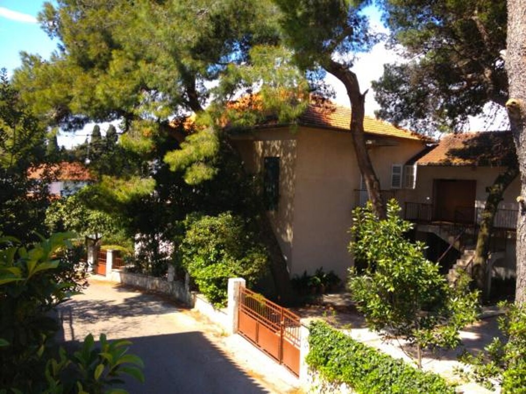 Image 3838542 - 4