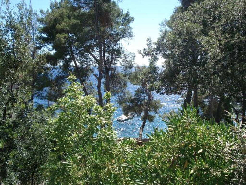 Image 3811908 - 13
