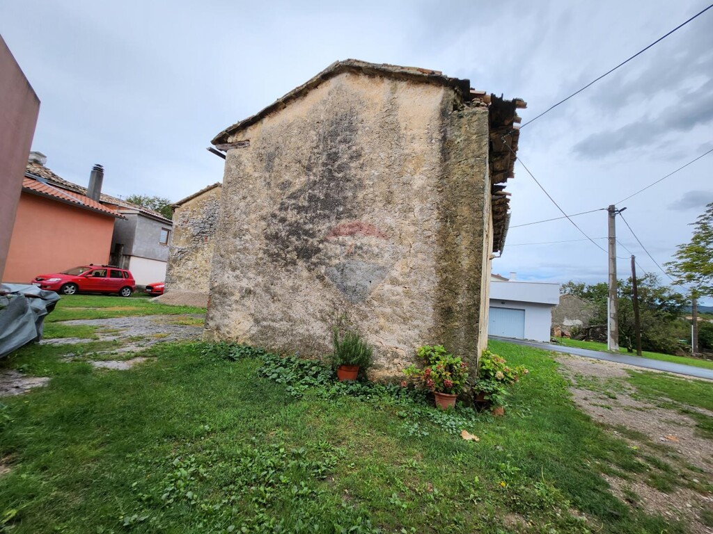 Image 11