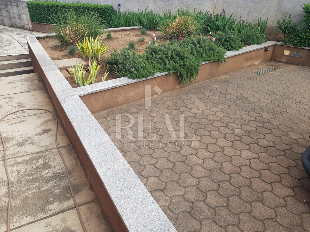 Image 20