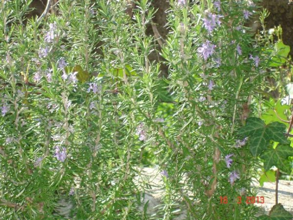 Image 3811096 - 4