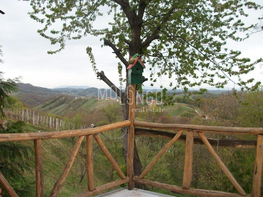 Image 15