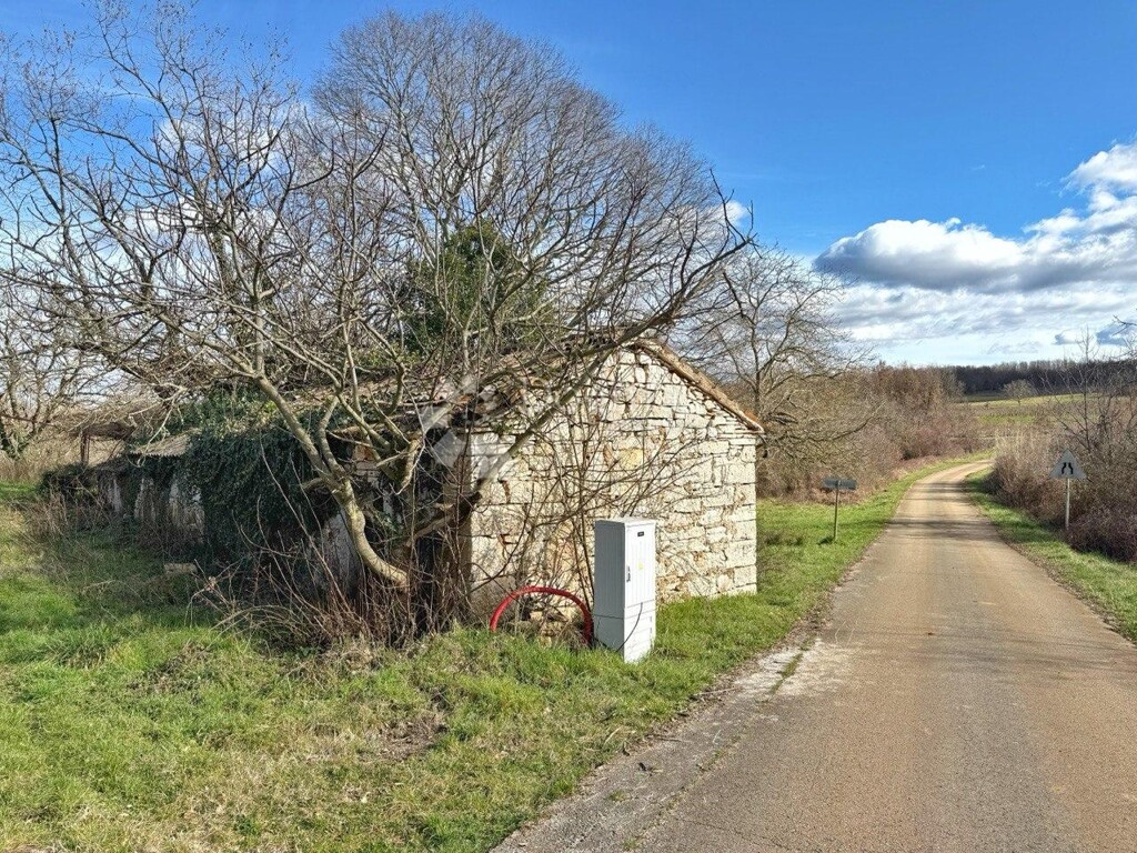 Image 9
