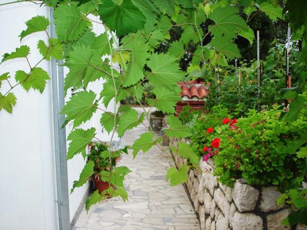 Image 3810863 - 6