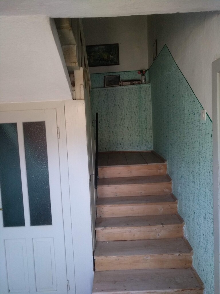 Image 19