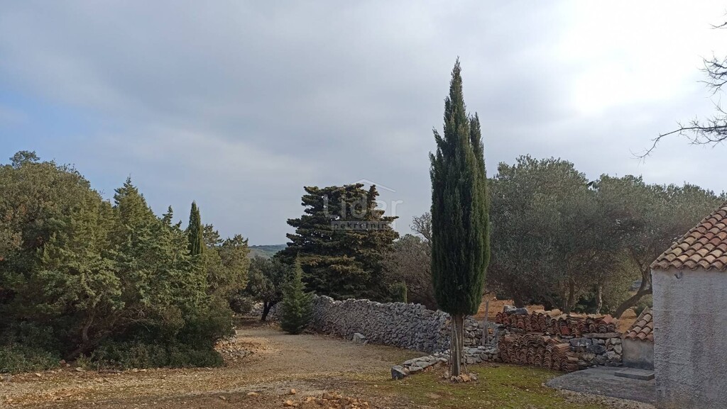 Image 15