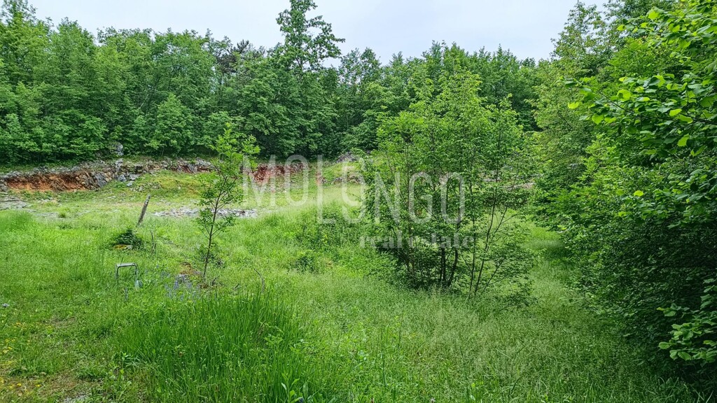 Image 5872229 - 4