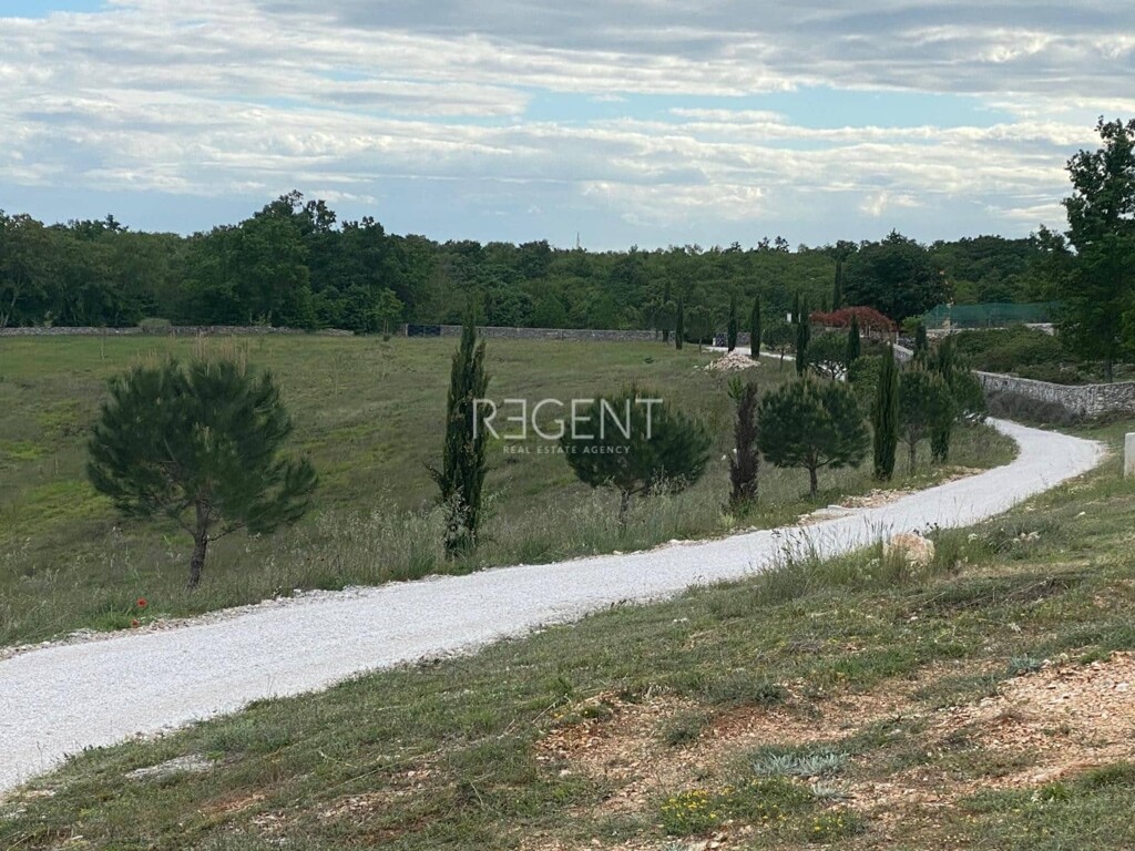 Image 13