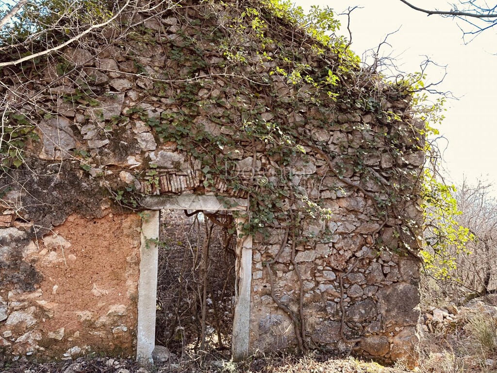 Image 15