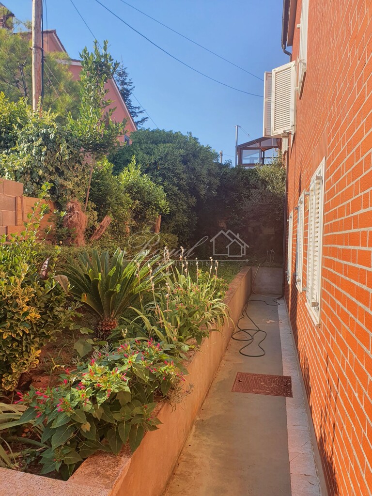 Image 20