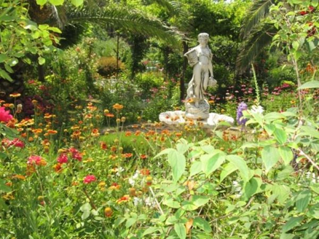 Image 15