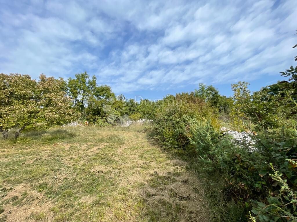 Image 20
