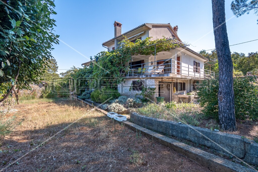 Image 6159162 - 23