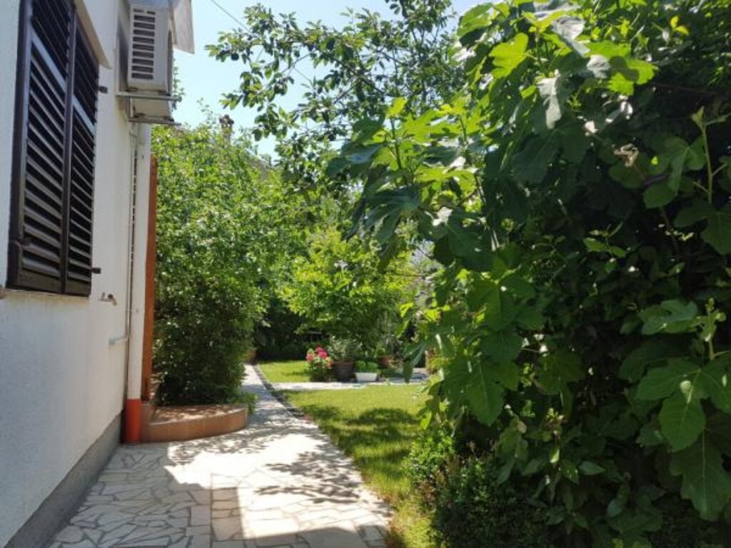 Image 3838715 - 16