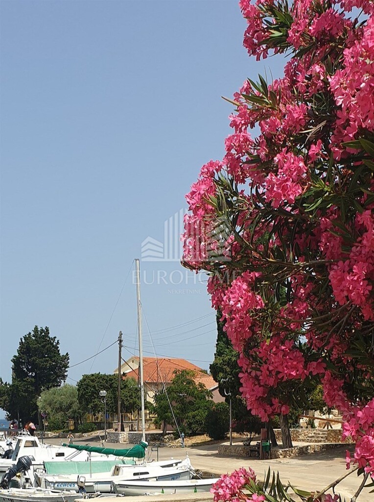 Image 9