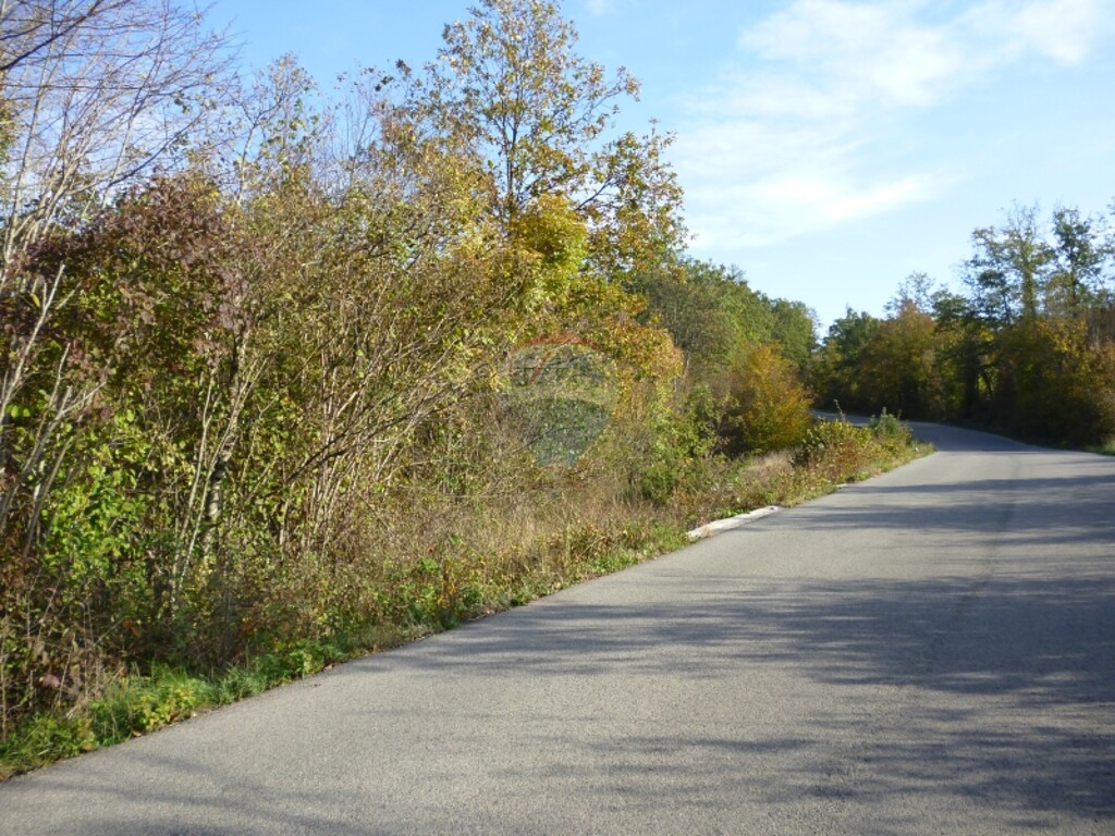 Image 5411141 - 3