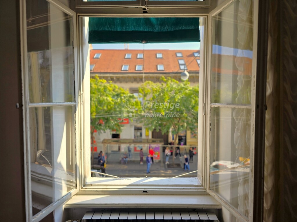 Image 15