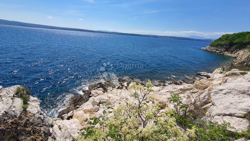 Image 13
